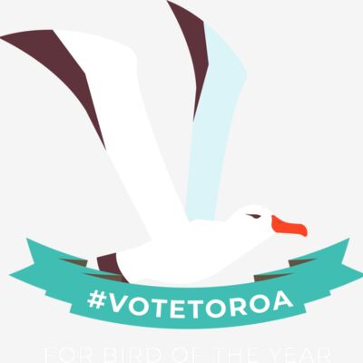 #VoteToroa for Bird of the Year Thumbnail